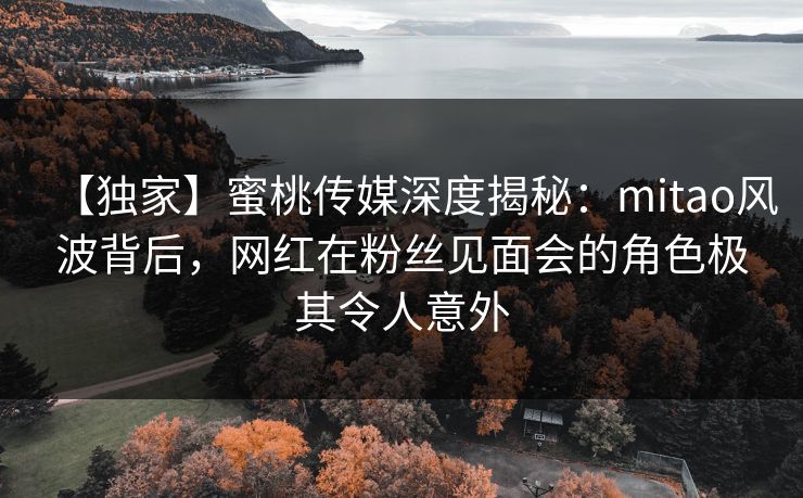 【独家】蜜桃传媒深度揭秘：mitao风波背后，网红在粉丝见面会的角色极其令人意外