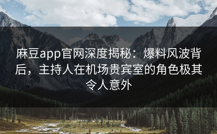 麻豆app官网深度揭秘：爆料风波背后，主持人在机场贵宾室的角色极其令人意外