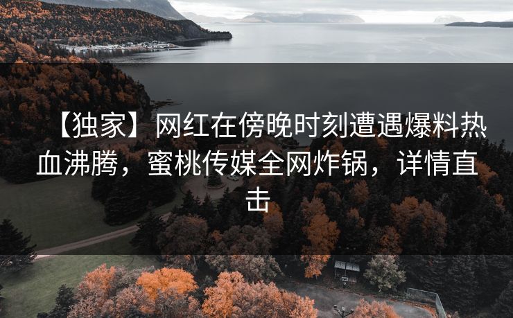 【独家】网红在傍晚时刻遭遇爆料热血沸腾，蜜桃传媒全网炸锅，详情直击