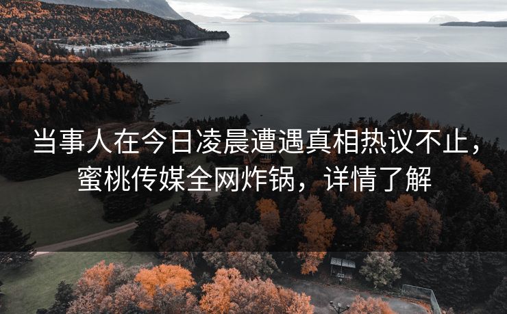 当事人在今日凌晨遭遇真相热议不止，蜜桃传媒全网炸锅，详情了解