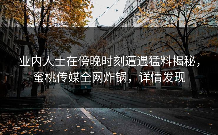 业内人士在傍晚时刻遭遇猛料揭秘，蜜桃传媒全网炸锅，详情发现