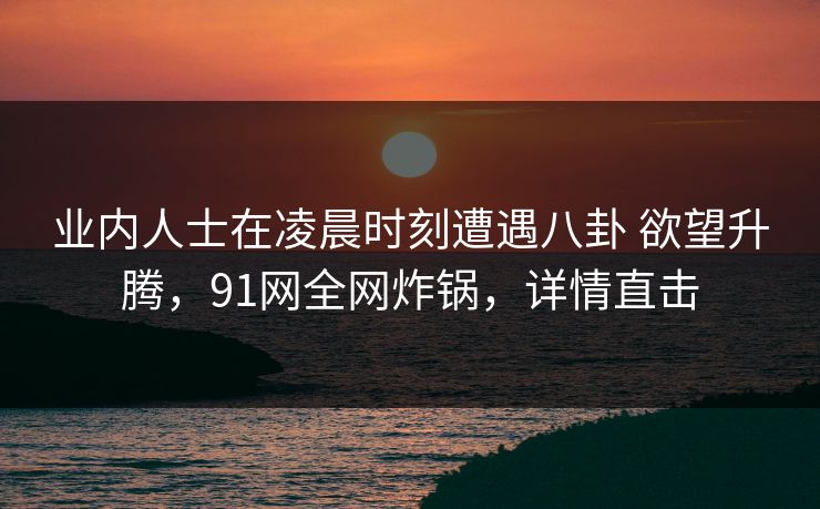 业内人士在凌晨时刻遭遇八卦 欲望升腾，91网全网炸锅，详情直击