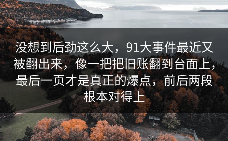 没想到后劲这么大，91大事件最近又被翻出来，像一把把旧账翻到台面上，最后一页才是真正的爆点，前后两段根本对得上